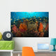 School Anthias Fish Swimming Yellow Wall Decal