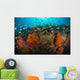 School Anthias Fish Swimming Yellow Wall Decal