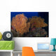 Red Sabre Squirrelfish Hiding Wall Decal
