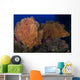 Red Sabre Squirrelfish Hiding Wall Decal