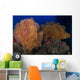 Red Sabre Squirrelfish Hiding Wall Decal