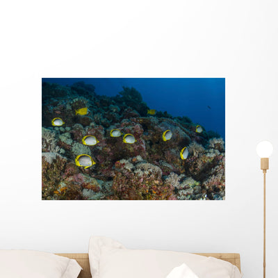 School Butterflyfish and Rabbit Wall Decal shown on a wall