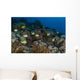 School Butterflyfish and Rabbit Wall Decal