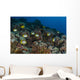 School Butterflyfish and Rabbit Wall Decal