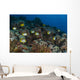 School Butterflyfish and Rabbit Wall Decal