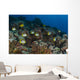 School Butterflyfish and Rabbit Wall Decal