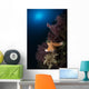 Orange Sea Star over Wall Decal
