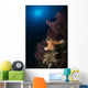 Orange Sea Star over Wall Decal