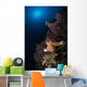 Orange Sea Star over Wall Decal