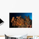Massive Orange Soft Coral Wall Decal