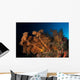 Massive Orange Soft Coral Wall Decal