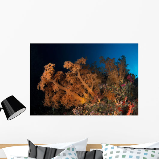 Massive Orange Soft Coral Wall Decal