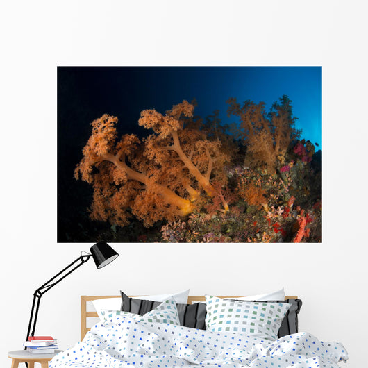 Massive Orange Soft Coral Wall Decal