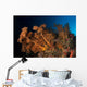 Massive Orange Soft Coral Wall Decal