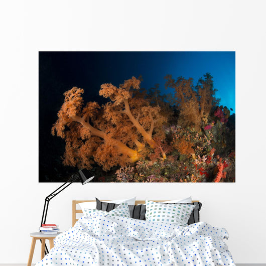 Massive Orange Soft Coral Wall Decal