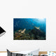 School Green Chromis Swimming Wall Decal