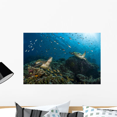 School Green Chromis Swimming Wall Decal shown on a wall