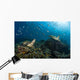 School Green Chromis Swimming Wall Decal
