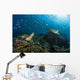School Green Chromis Swimming Wall Decal