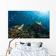 School Green Chromis Swimming Wall Decal