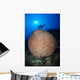 Diver with Torchlight over Wall Decal