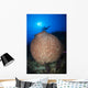 Diver with Torchlight over Wall Decal