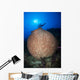 Diver with Torchlight over Wall Decal