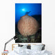 Diver with Torchlight over Wall Decal