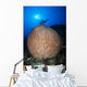 Diver with Torchlight over Wall Decal