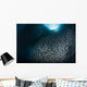 Massive School Millions Sardines Close-up Wall Decal
