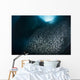 Massive School Millions Sardines Close-up Wall Decal