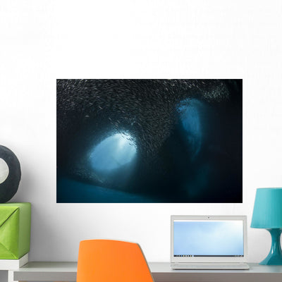 Massive School Millions Sardines Tunnels Wall Decal shown on a wall