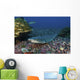Resting Whitetip Reef Shark Wall Decal