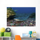 Resting Whitetip Reef Shark Wall Decal