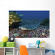 Resting Whitetip Reef Shark Wall Decal