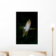 Front Golden Damselfish Wall Decal