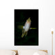Front Golden Damselfish Wall Decal