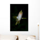 Front Golden Damselfish Wall Decal