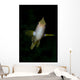 Front Golden Damselfish Wall Decal