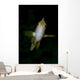 Front Golden Damselfish Wall Decal