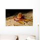 Imperial Shrimp Beige Spotted Wall Decal