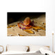 Imperial Shrimp Beige Spotted Wall Decal