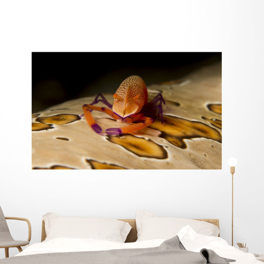 Imperial Shrimp Beige Spotted Wall Decal