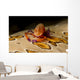 Imperial Shrimp Beige Spotted Wall Decal