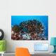 School Anthias Fish Swimming Wall Decal