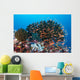 School Anthias Fish Swimming Wall Decal