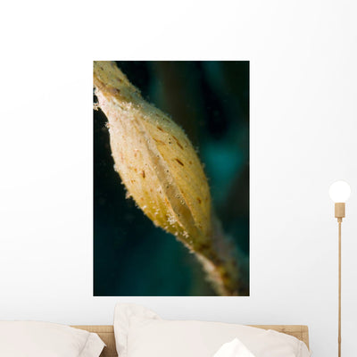 Sack Yellow Ghost Pipefish Wall Decal shown on a wall