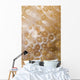 Tiny Juvenile Orange Striped Wall Decal