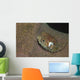 Juvenile Porcupinefish Swimming along Wall Decal