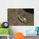Juvenile Porcupinefish Swimming along Wall Decal